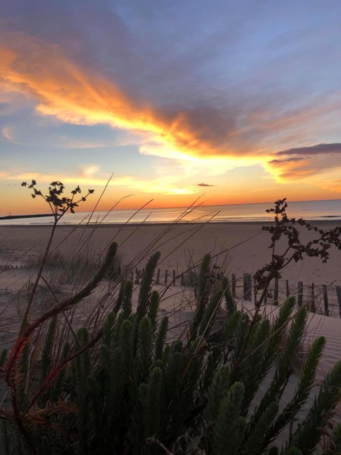 Residence Le Sunset: Seaside Retreat with Garden and Bike-Friendly Amenities Marseillan  Exterior photo